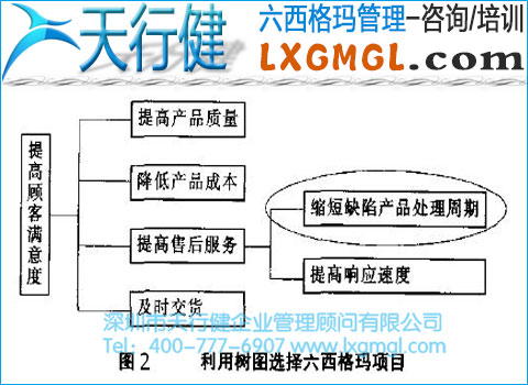 用于樹圖選擇六西格瑪項目 六西格瑪管理工具3——樹圖