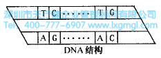 生物技術 什么是六西格瑪創新設計的原動力