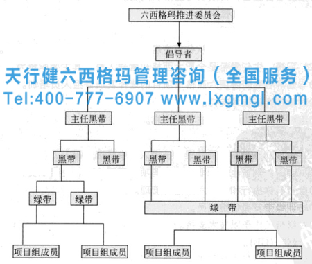 六西格瑪組織中各位置所擔(dān)當(dāng)?shù)慕巧? width=