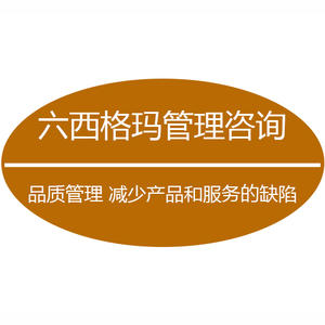 六西格瑪人員需要具備哪些技能？