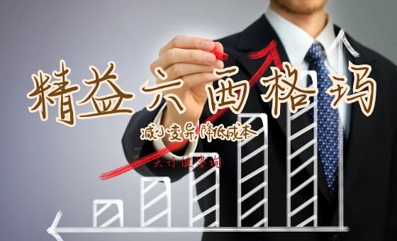 精益6西格瑪在減少軟件問題重復(fù)報告中的運用