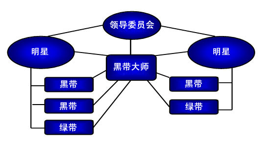 企業(yè)領(lǐng)導(dǎo)在實(shí)施六西格瑪管理中的職責(zé)有哪些